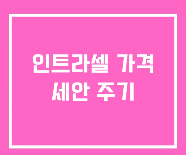 인트라셀 가격 세안 주기