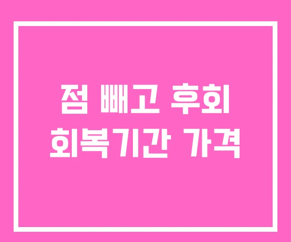 점 빼고 후회 회복기간 가격
