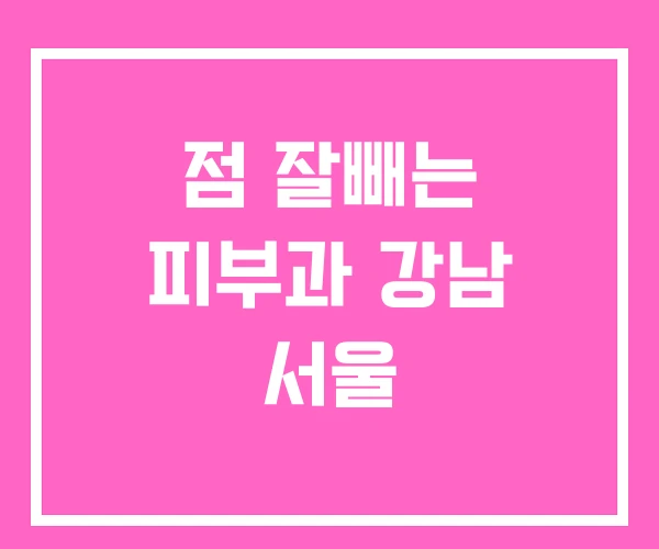 점 잘빼는 피부과 강남 서울