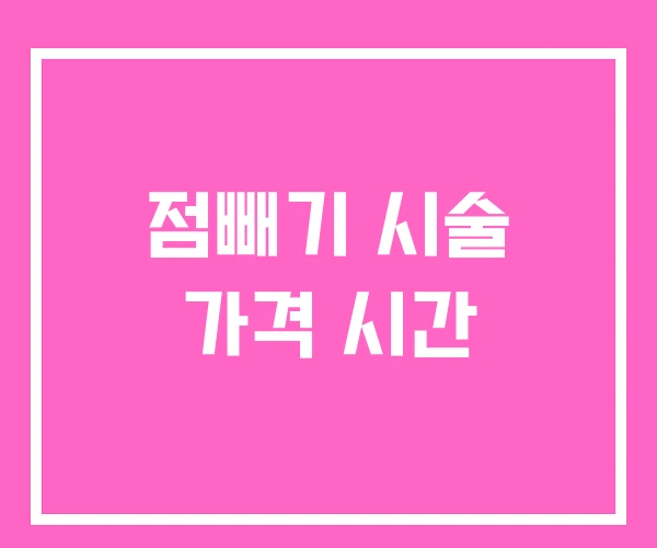 점빼기 시술 가격 시간 점빼기 시술 가격 시간