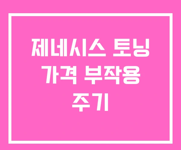 제네시스 토닝 가격 부작용 주기 제네시스 토닝 가격 부작용 주기