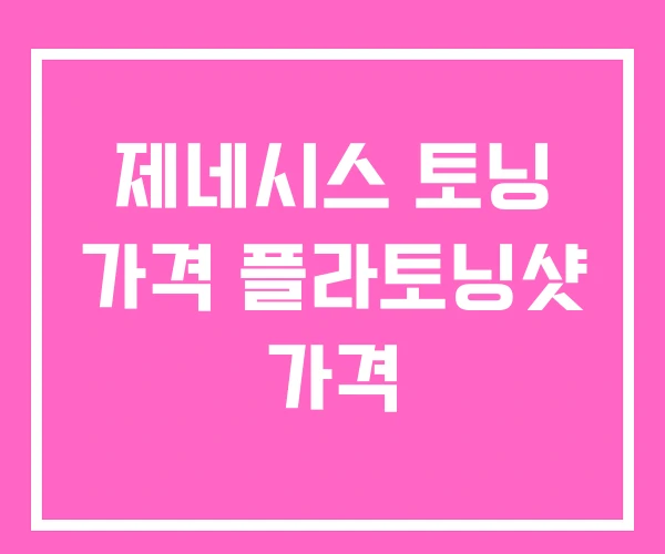 제네시스 토닝 가격 플라토닝샷 가격 제네시스 토닝 가격 플라토닝샷 가격