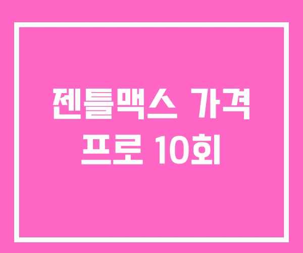 젠틀맥스 가격 프로 10회