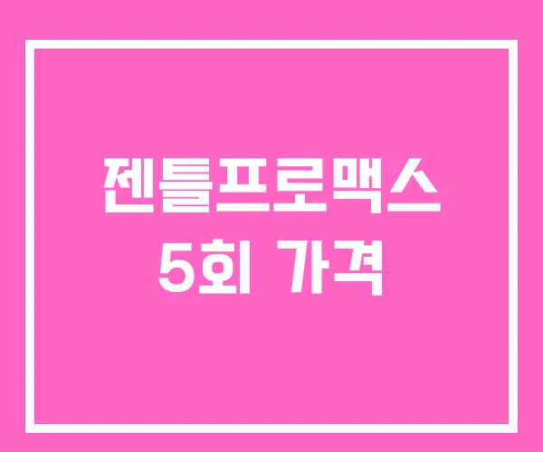 젠틀프로맥스 5회 가격