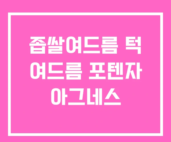 좁쌀여드름 턱 여드름 포텐자 아그네스