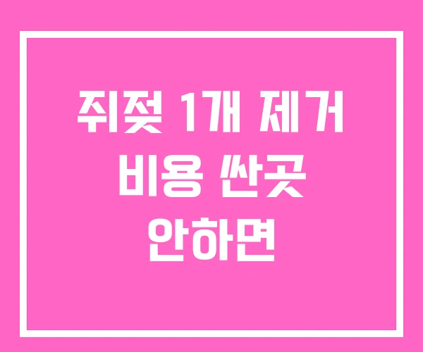 쥐젖 1개 제거 비용 싼곳 안하면