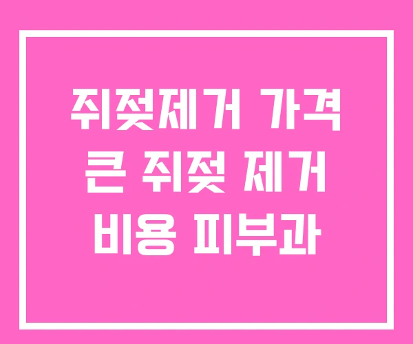 쥐젖제거 가격 큰 쥐젖 제거 비용 피부과 쥐젖제거 가격 큰 쥐젖 제거 비용 피부과