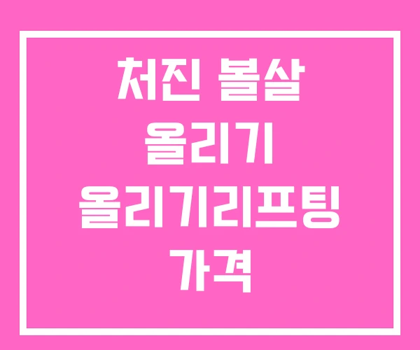 처진 볼살 올리기 올리기리프팅 가격 처진 볼살 올리기 올리기리프팅 가격