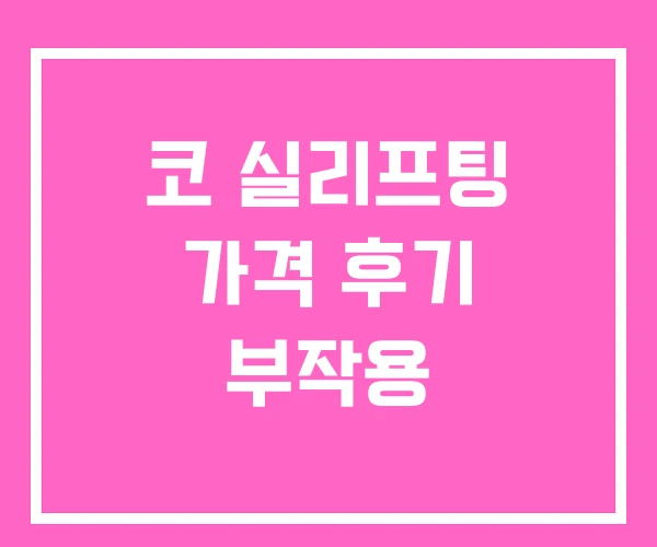 코 실리프팅 가격 후기 부작용 코 실리프팅 가격 후기 부작용