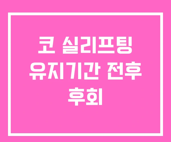 코 실리프팅 유지기간 전후 후회