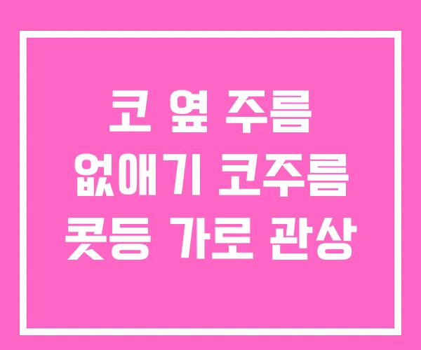 코 옆 주름 없애기 코주름 콧등 가로 관상