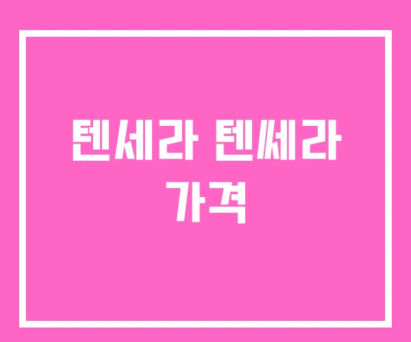 텐세라 텐쎄라 가격