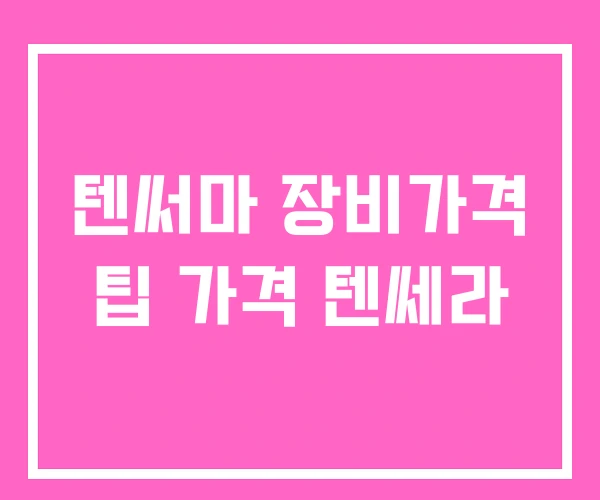 텐써마 장비가격 팁 가격 텐쎄라