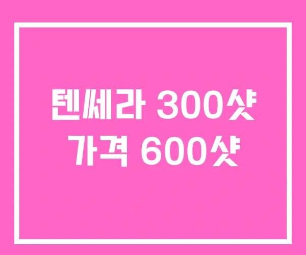 텐쎄라 300샷 가격 600샷