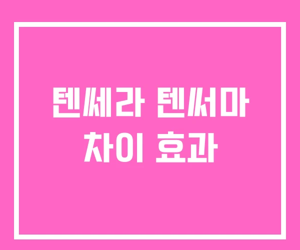 텐쎄라 텐써마 차이 효과