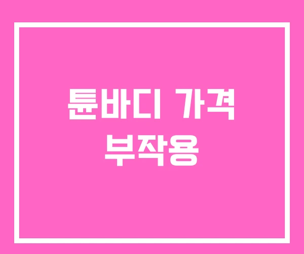 튠바디 가격 부작용