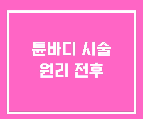 튠바디 시술 원리 전후