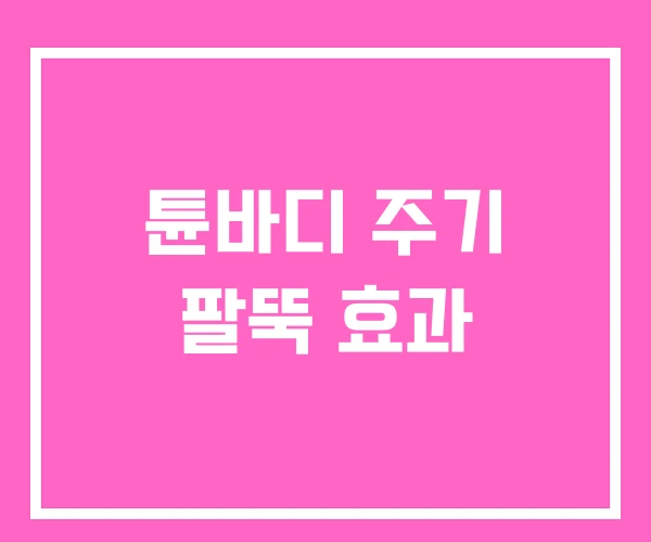 튠바디 주기 팔뚝 효과 튠바디 주기 팔뚝 효과