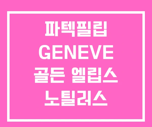파텍필립 GENEVE 골든 엘립스 노틸러스