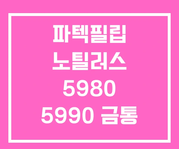 파텍필립 노틸러스 5980 5990 금통