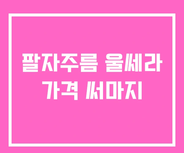 팔자주름 울쎄라 가격 써마지