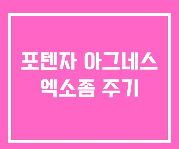 포텐자 아그네스 엑소좀 주기 포텐자 아그네스 엑소좀 주기