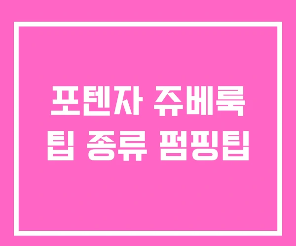 포텐자 쥬베룩 팁 종류 펌핑팁 포텐자 쥬베룩 팁 종류 펌핑팁