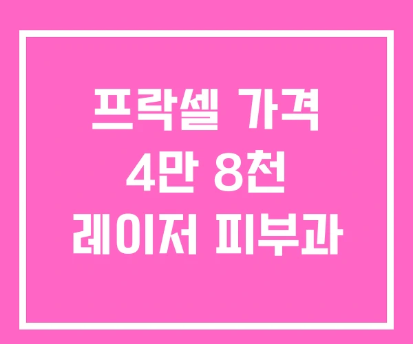 프락셀 가격 4만 8천 레이저 피부과