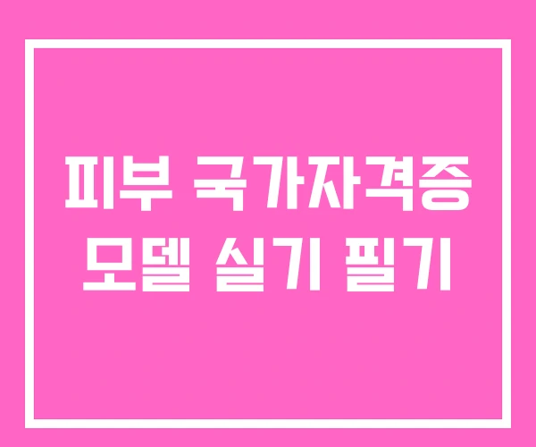 피부 국가자격증 모델 실기 필기
