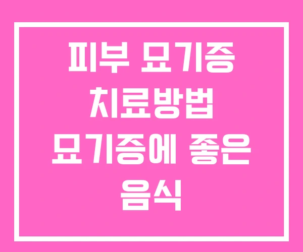 피부 묘기증 치료방법 묘기증에 좋은 음식