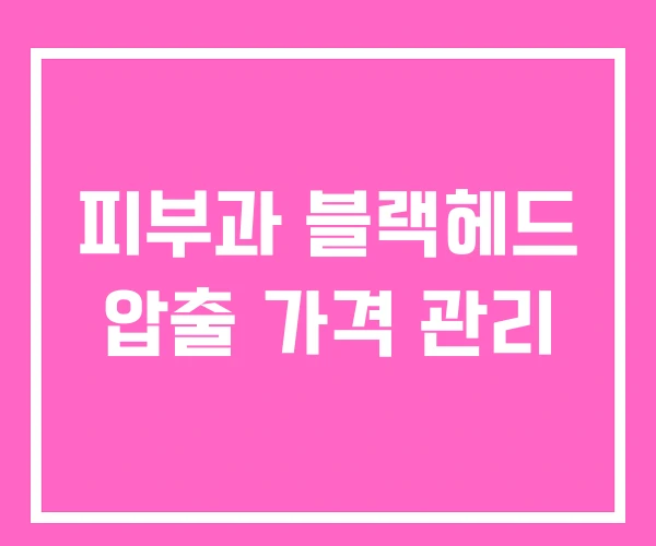 피부과 블랙헤드 압출 가격 관리