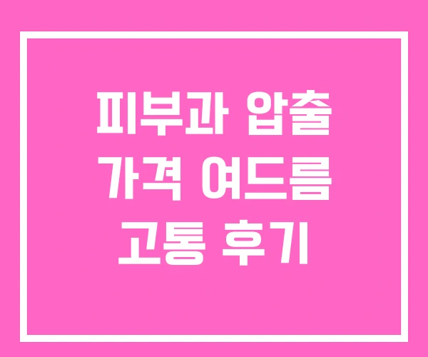 피부과 압출 가격 여드름 고통 후기