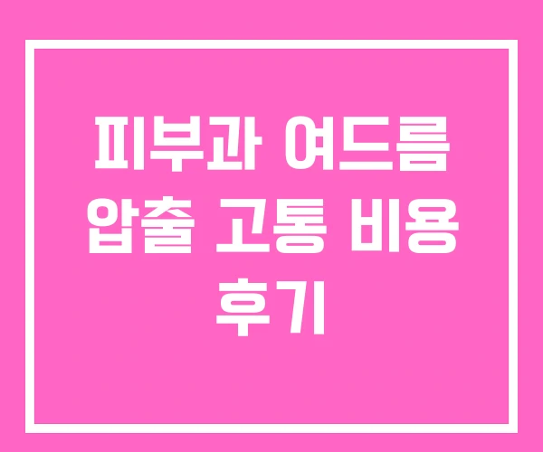 피부과 여드름 압출 고통 비용 후기