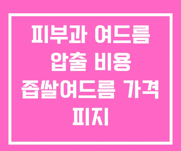 피부과 여드름 압출 비용 좁쌀여드름 가격 피지