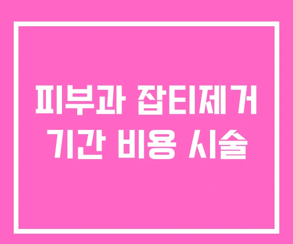 피부과 잡티제거 기간 비용 시술 피부과 잡티제거 기간 비용 시술