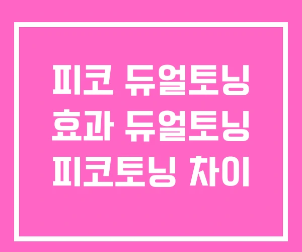 피코 듀얼토닝 효과 듀얼토닝 피코토닝 차이
