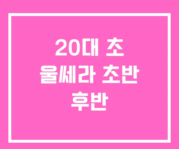 20대 초 울쎄라 초반 후반 20대 초 울쎄라 초반 후반