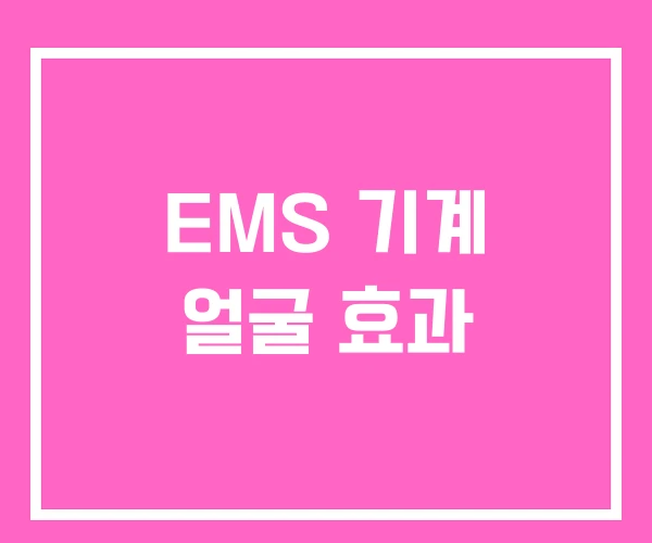 EMS 기계 얼굴 효과
