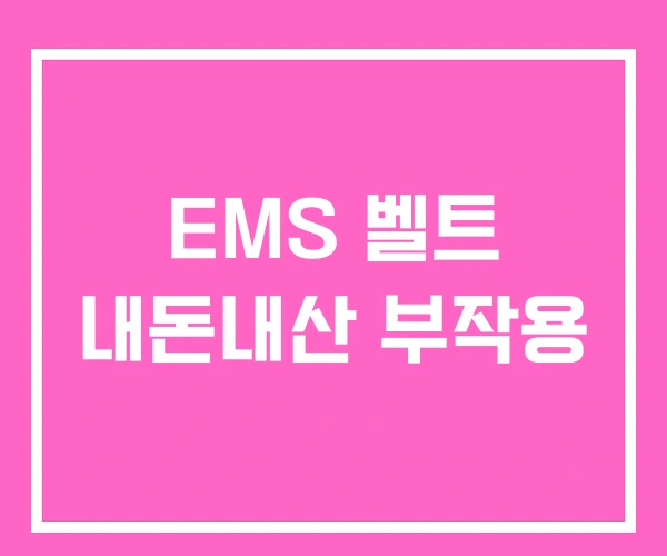 EMS 벨트 내돈내산 부작용