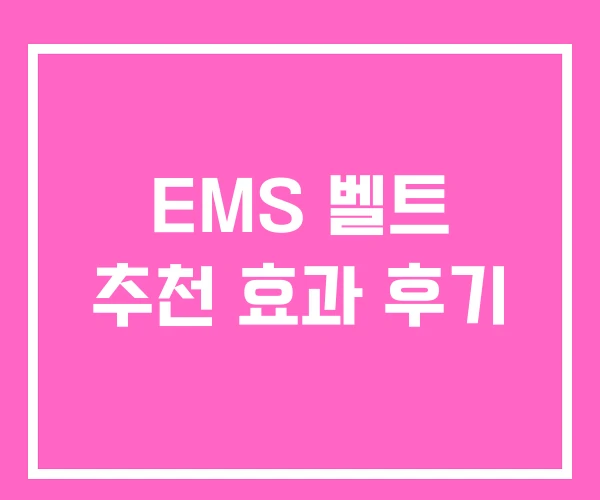 EMS 벨트 추천 효과 후기 EMS 벨트 추천 효과 후기