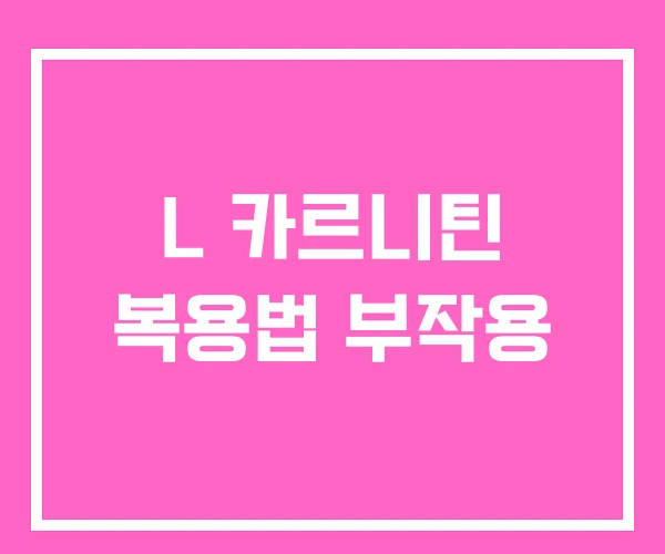 L 카르니틴 복용법 부작용 L 카르니틴 복용법 부작용