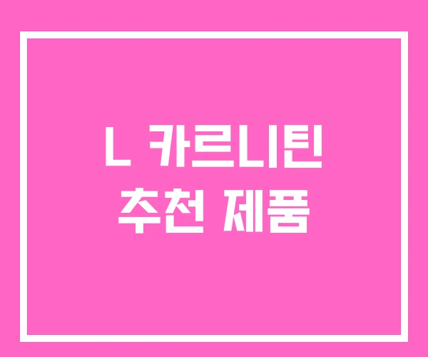 L 카르니틴 추천 제품