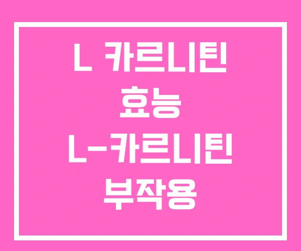 L 카르니틴 효능 L-카르니틴 부작용