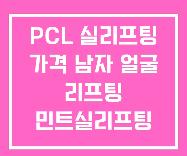 PCL 실리프팅 가격 남자 얼굴 리프팅 민트실리프팅