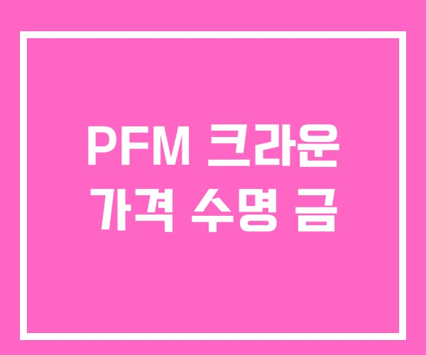PFM 크라운 가격 수명 금 PFM 크라운 가격 수명 금