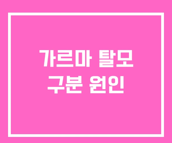 가르마 탈모 구분 원인