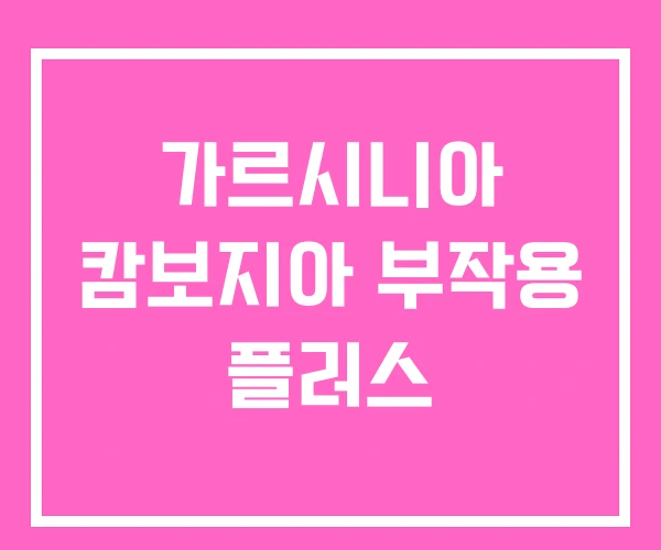 가르시니아 캄보지아 부작용 플러스