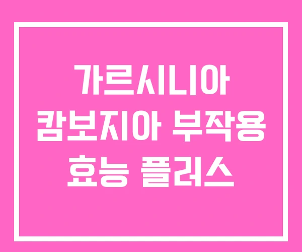 가르시니아 캄보지아 부작용 효능 플러스