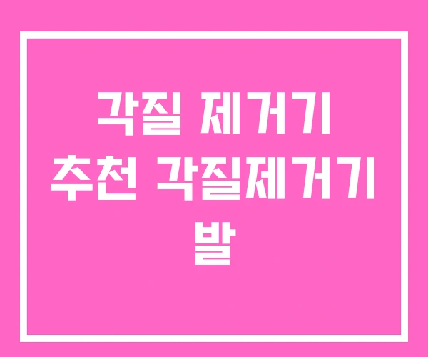각질 제거기 추천 각질제거기 발 각질 제거기 추천 각질제거기 발