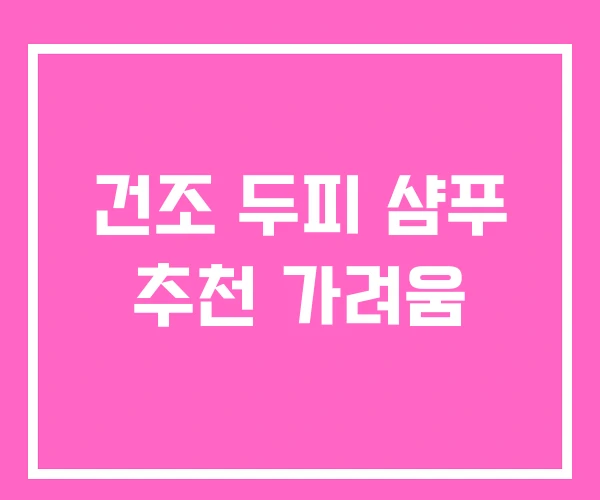 건조 두피 샴푸 추천 가려움 건조 두피 샴푸 추천 가려움